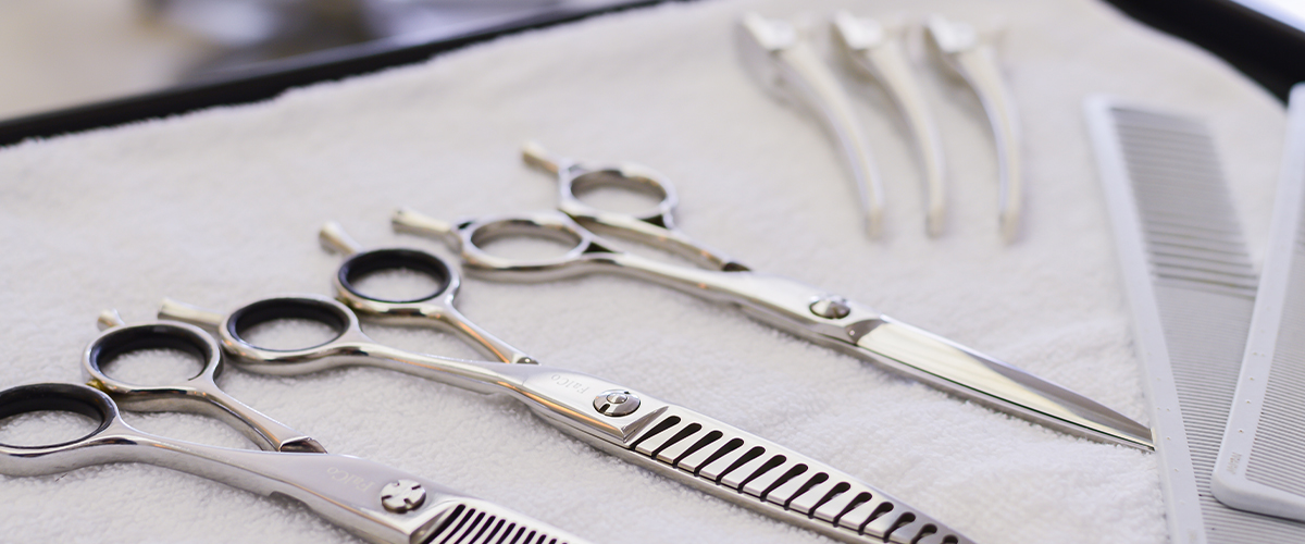 私たちについて